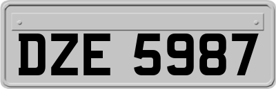 DZE5987