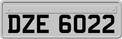 DZE6022