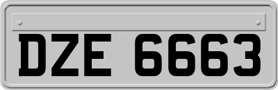 DZE6663