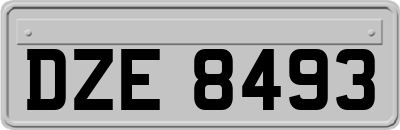 DZE8493