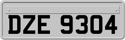 DZE9304