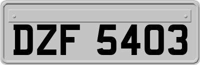 DZF5403
