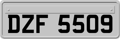 DZF5509