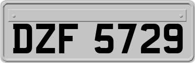 DZF5729