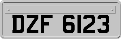 DZF6123