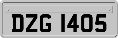 DZG1405