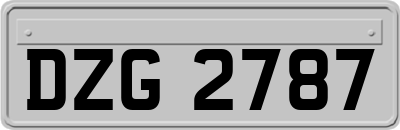 DZG2787