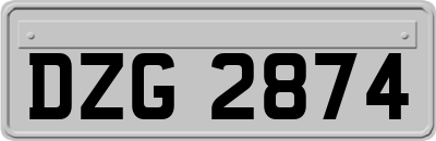 DZG2874