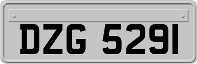 DZG5291