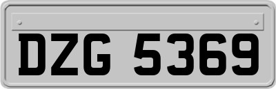 DZG5369