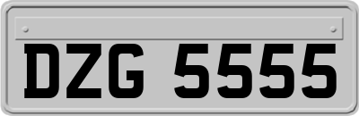 DZG5555