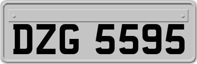 DZG5595