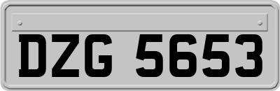 DZG5653