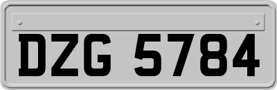 DZG5784