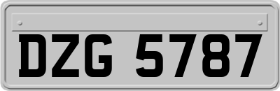 DZG5787