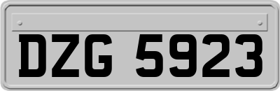 DZG5923
