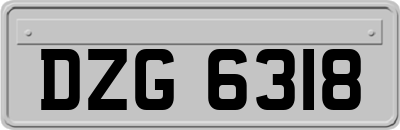 DZG6318