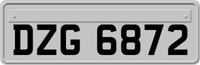 DZG6872