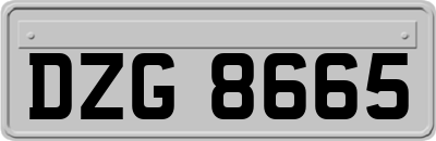 DZG8665