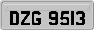 DZG9513