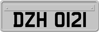 DZH0121