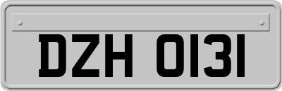 DZH0131