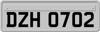 DZH0702