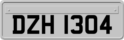 DZH1304