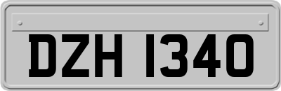 DZH1340