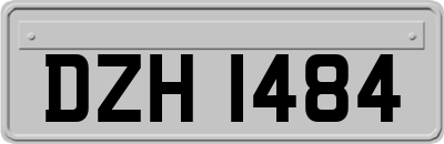 DZH1484