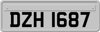 DZH1687
