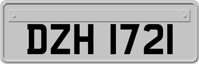 DZH1721