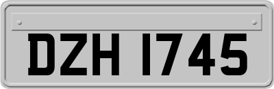 DZH1745