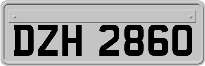 DZH2860