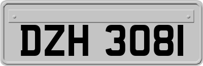 DZH3081
