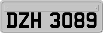 DZH3089