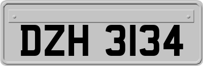 DZH3134