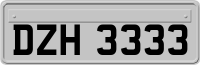 DZH3333