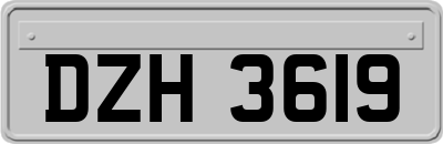 DZH3619