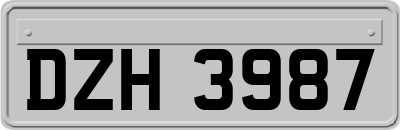 DZH3987