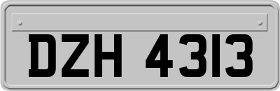 DZH4313