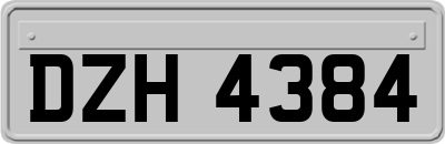 DZH4384