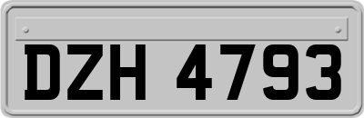 DZH4793