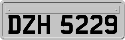 DZH5229