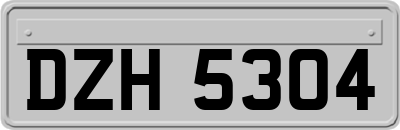 DZH5304