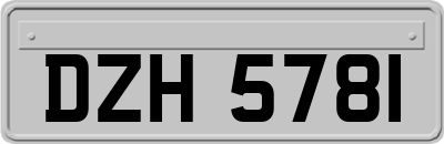 DZH5781