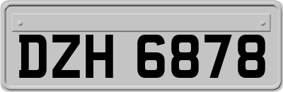 DZH6878