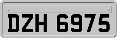 DZH6975