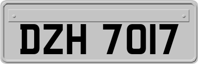 DZH7017
