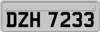 DZH7233